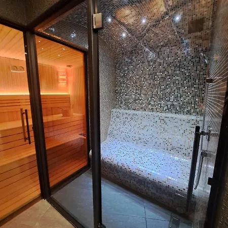 Apartmanhotel Soko In Spa *